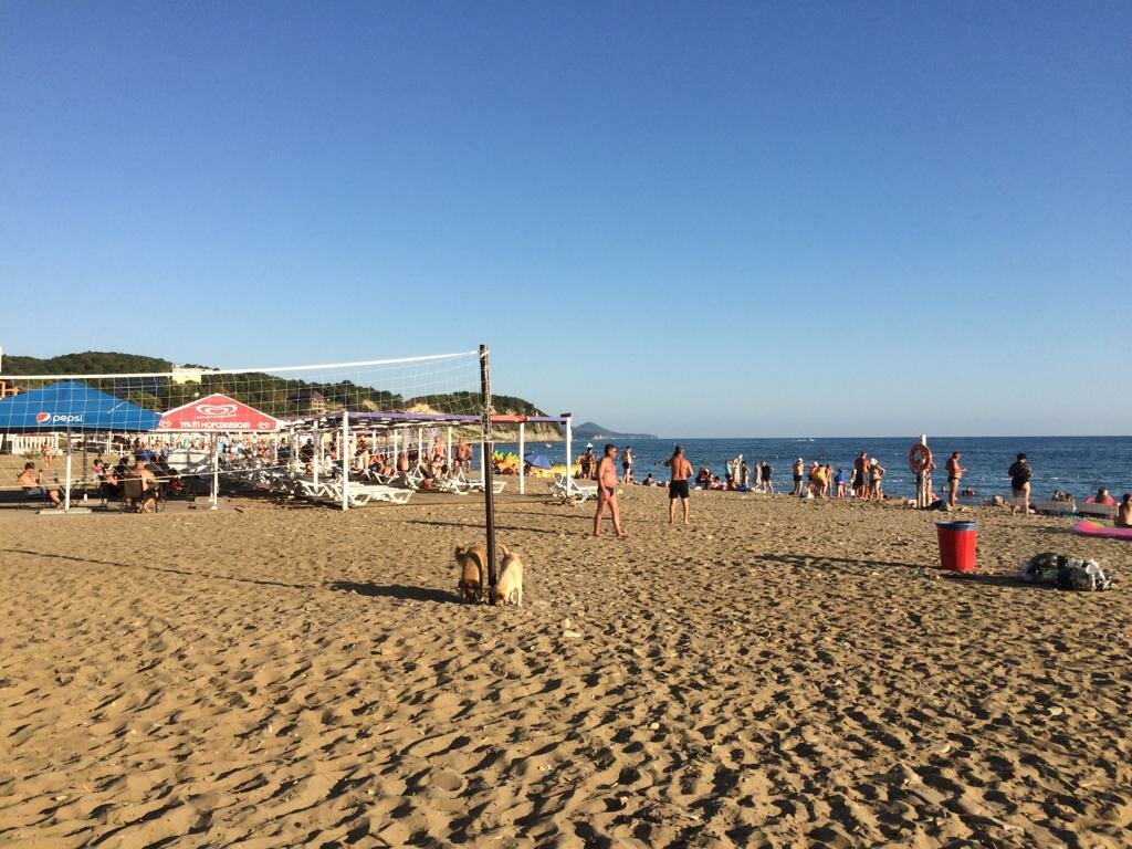 Гостиница Марсель Лермонтово-20